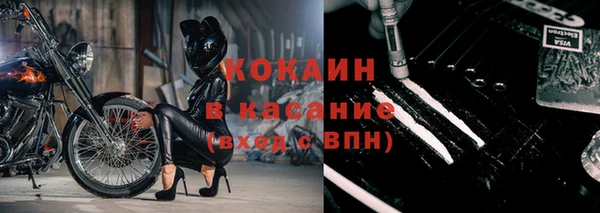 эйфоретик Майский