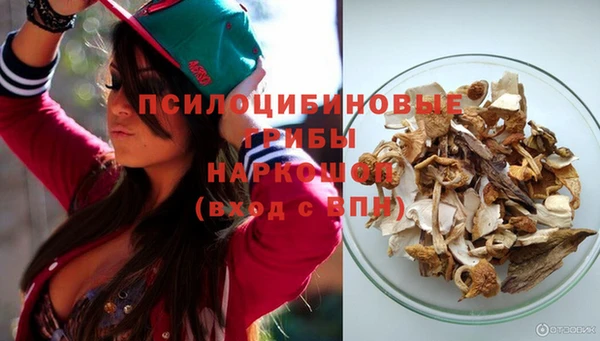 PSILOCYBIN Липки