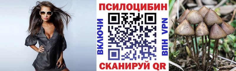 Купить  Домодедово  Галлюциногенные грибы ЛСД 